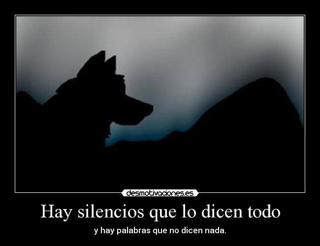 Hay silencios que lo dicen todo - 