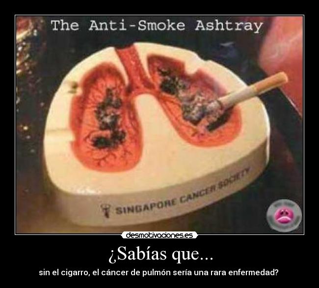 carteles sabiasquesinelcigarroelcancerdepulmonseriaunararaenfermedad desmotivaciones