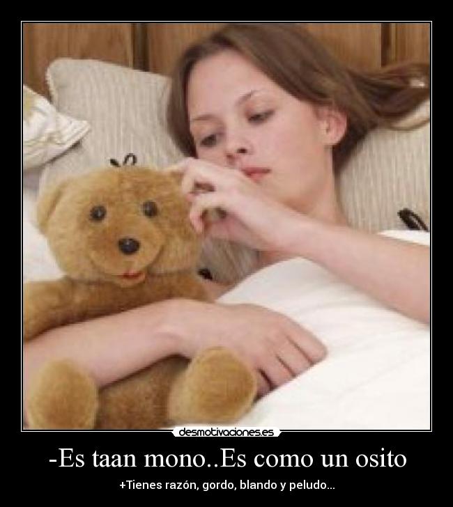 carteles osito desmotivaciones