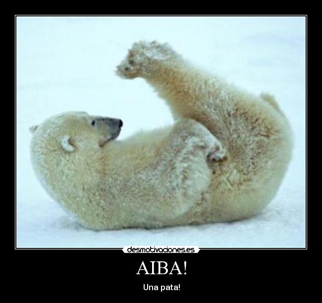 AIBA! - Una pata!