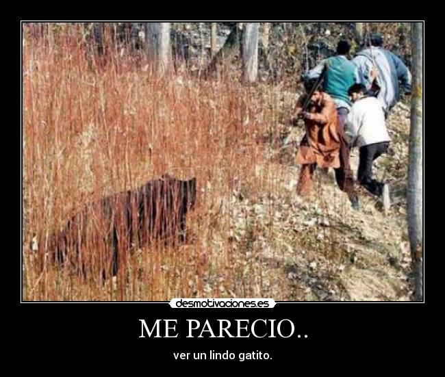 ME PARECIO.. -