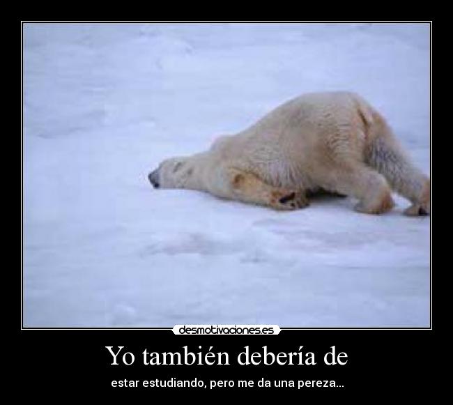Yo también debería de - estar estudiando, pero me da una pereza...