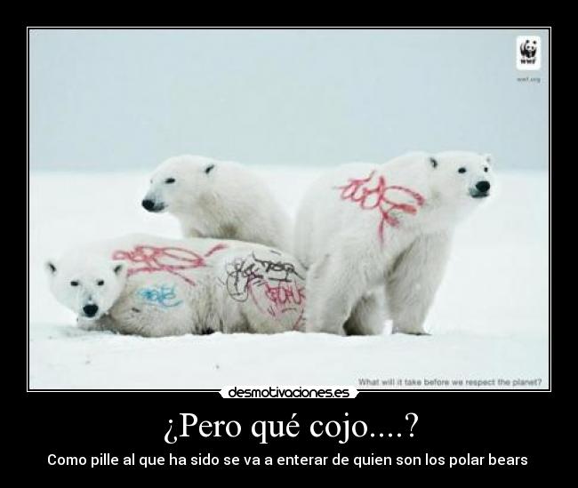 ¿Pero qué cojo....? -