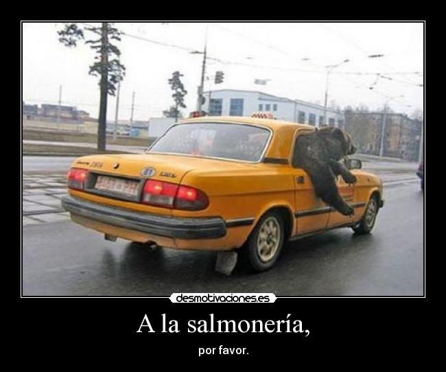 carteles salmoneria desmotivaciones