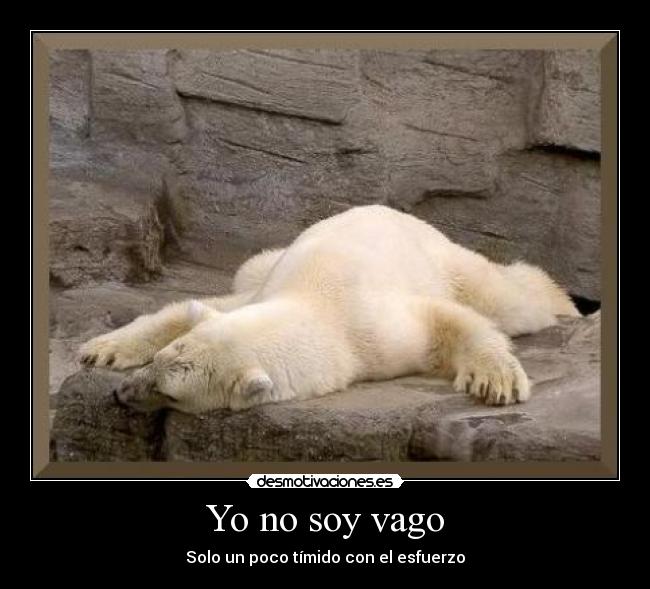 Yo no soy vago - 