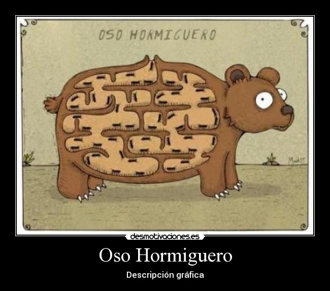 Oso Hormiguero -