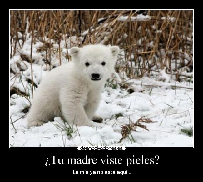 ¿Tu madre viste pieles? -