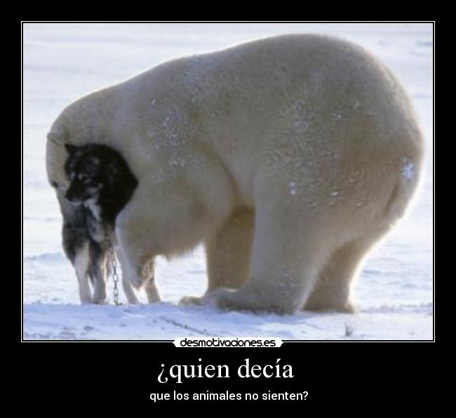 ¿quien decía  - que los animales no sienten?