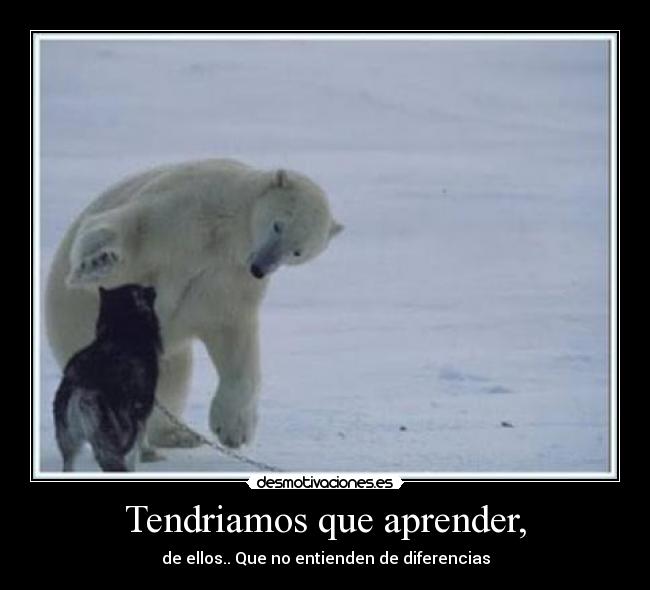 Tendriamos que aprender, - de ellos.. Que no entienden de diferencias