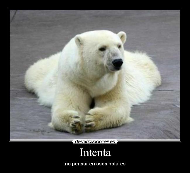 Intenta - no pensar en osos polares