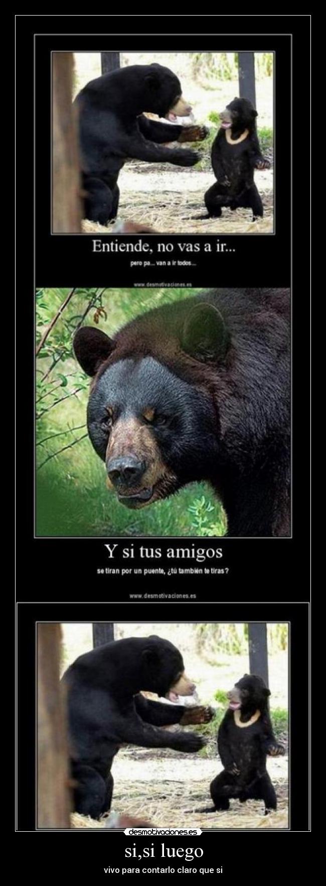 si,si luego - vivo para contarlo claro que si