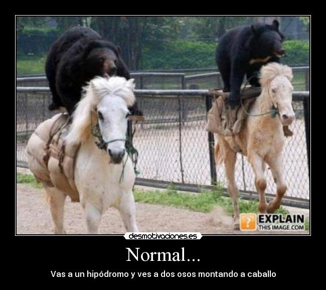 carteles aurre desmotivaciones