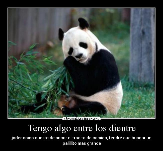 carteles wwwdesmotivacioneses desmotivaciones