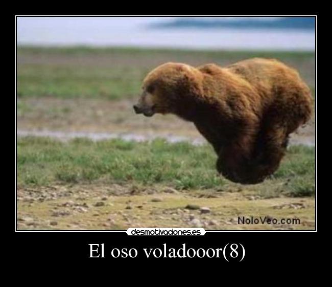 carteles xexomlg desmotivaciones