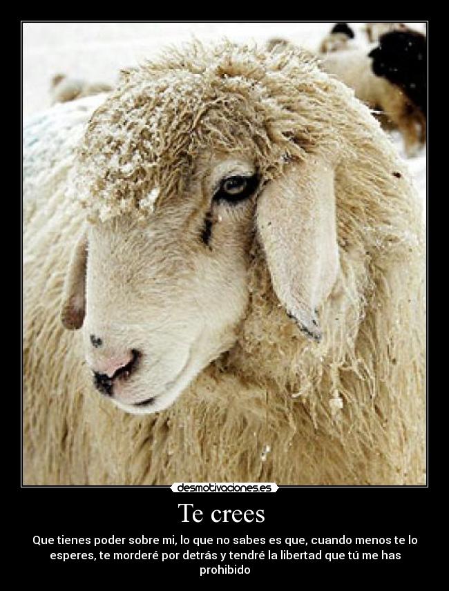 Te crees - Que tienes poder sobre mi, lo que no sabes es que, cuando menos te lo
esperes, te morderé por detrás y tendré la libertad que tú me has
prohibido