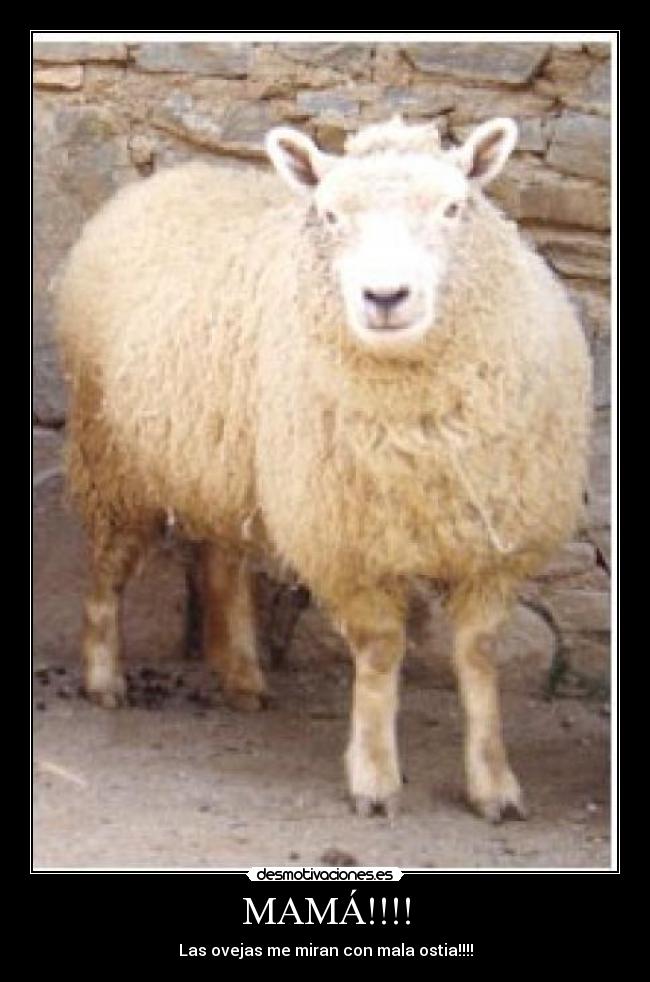 MAMÁ!!!! -