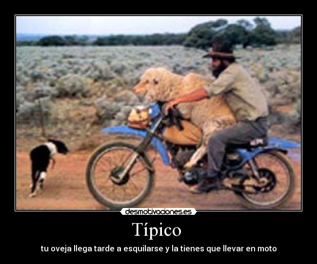 Típico  - 