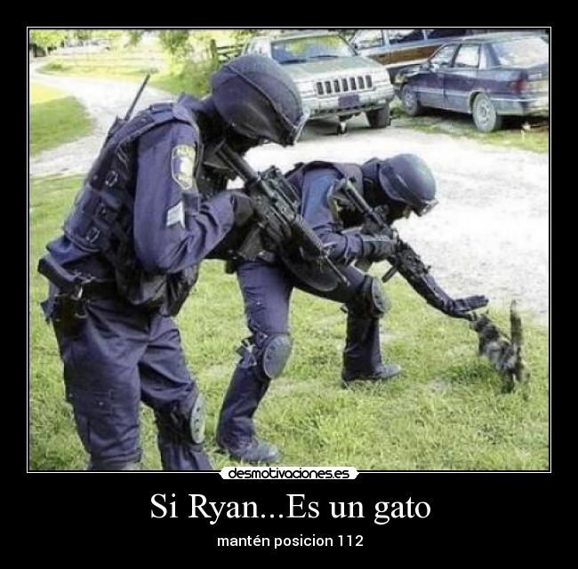 Si Ryan...Es un gato - mantén posicion 112