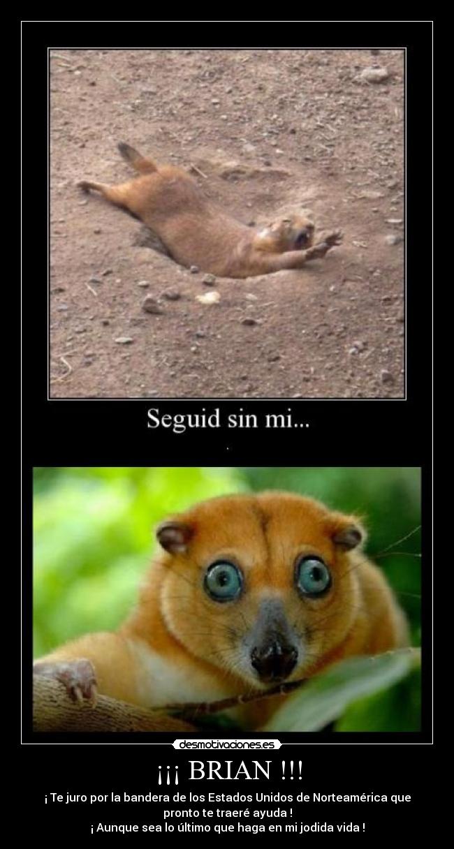 ¡¡¡ BRIAN !!! -