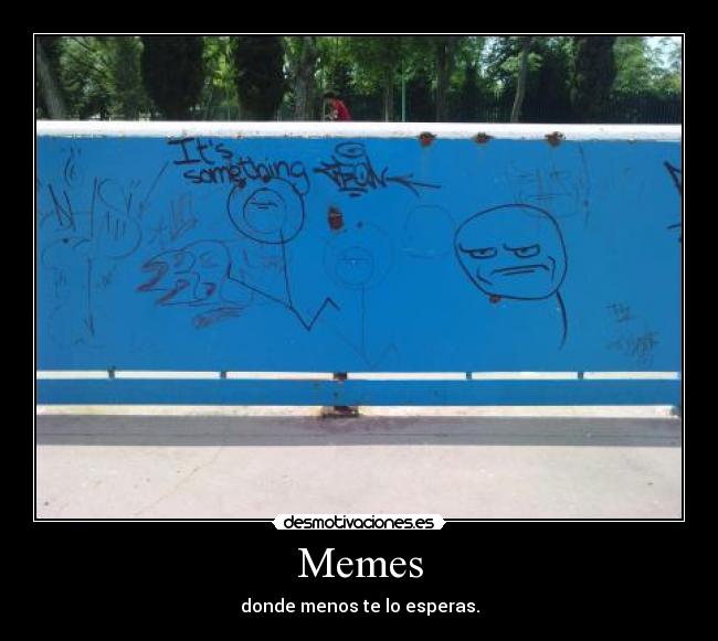 Memes - 