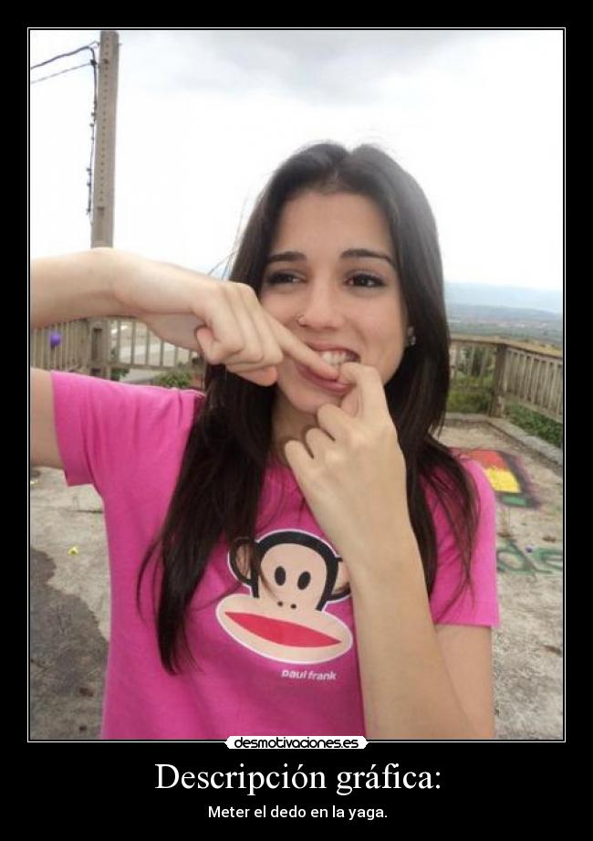 Descripción gráfica: -