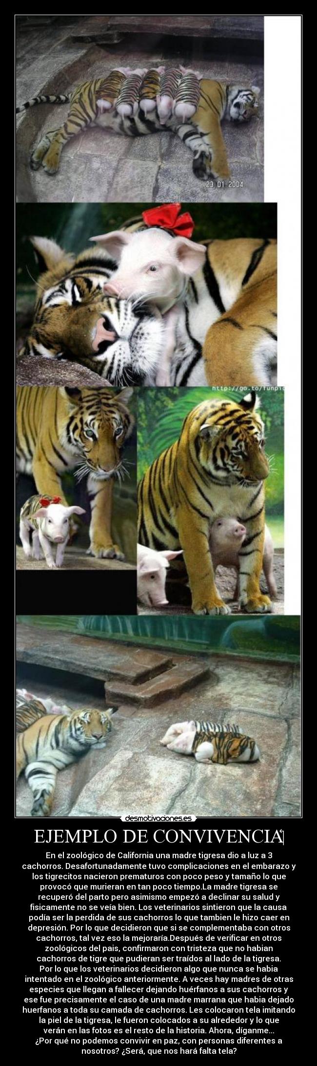 carteles desmotivaciones