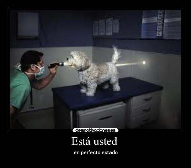 Está usted  - 