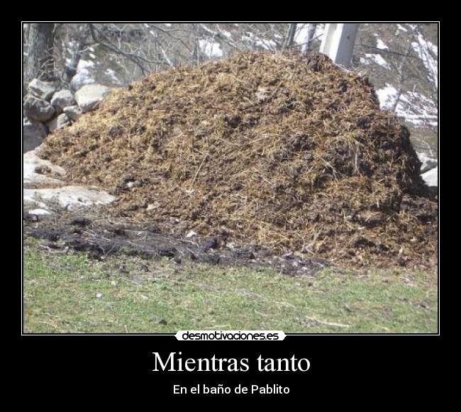 Mientras tanto - En el baño de Pablito