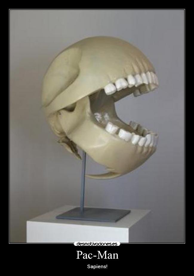 Pac-Man - Sapiens!