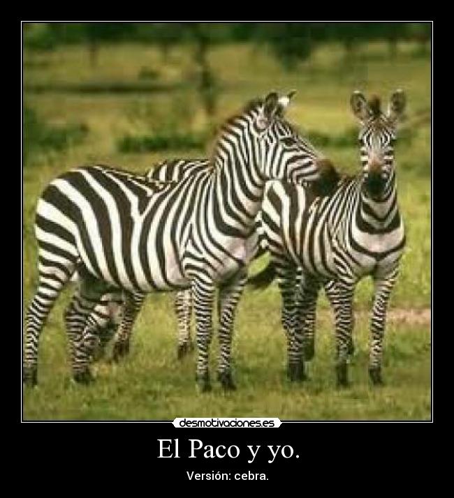 El Paco y yo. - Versión: cebra.