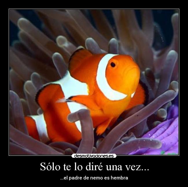 Sólo te lo diré una vez... -