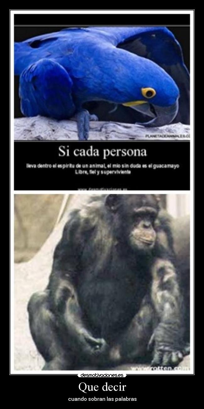 Que decir - cuando sobran las palabras