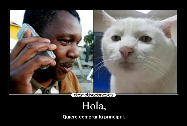 Hola, - Quiero comprar la principal.