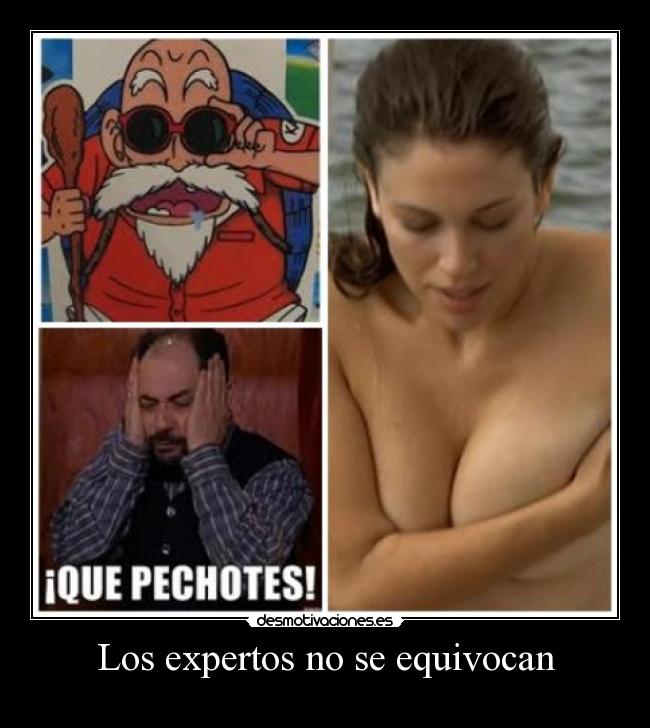 Los expertos no se equivocan -