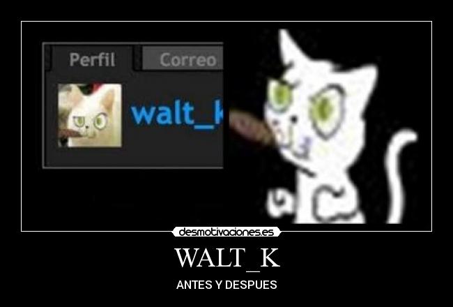 WALT_K - ANTES Y DESPUES