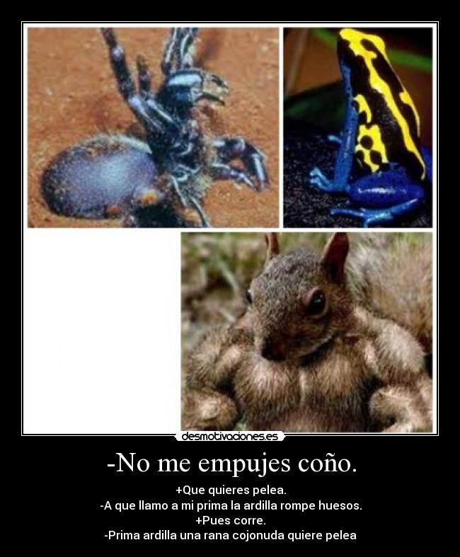 -No me empujes coño. - +Que quieres pelea.
-A que llamo a mi prima la ardilla rompe huesos.
+Pues corre.
-Prima ardilla una rana cojonuda quiere pelea