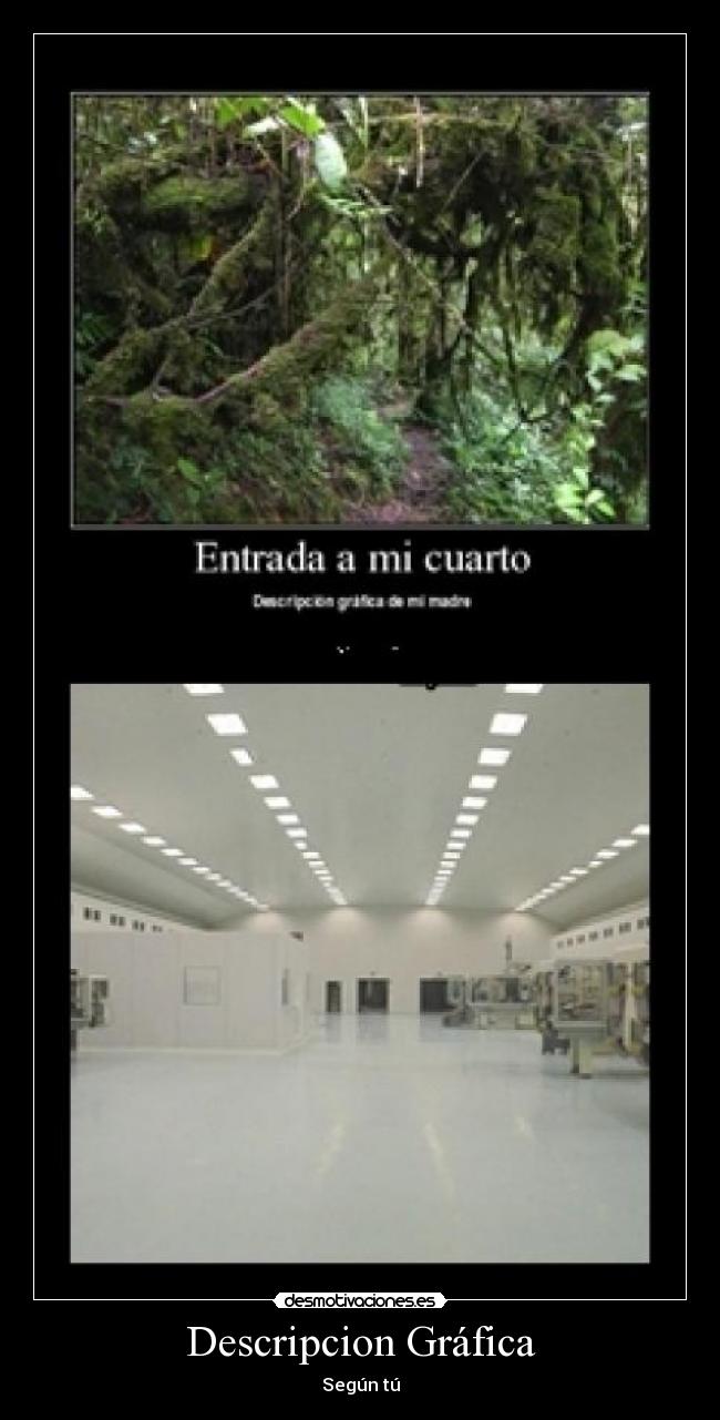 Descripcion Gráfica -