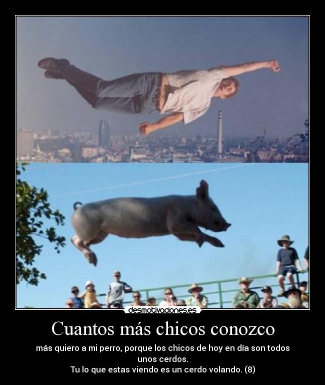 carteles cerdos desmotivaciones