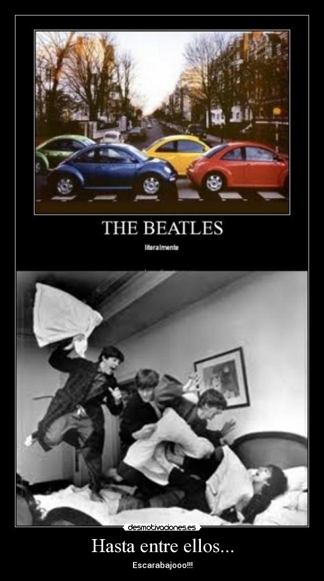 Hasta entre ellos... -