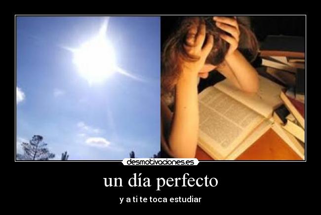 un día perfecto - y a ti te toca estudiar
