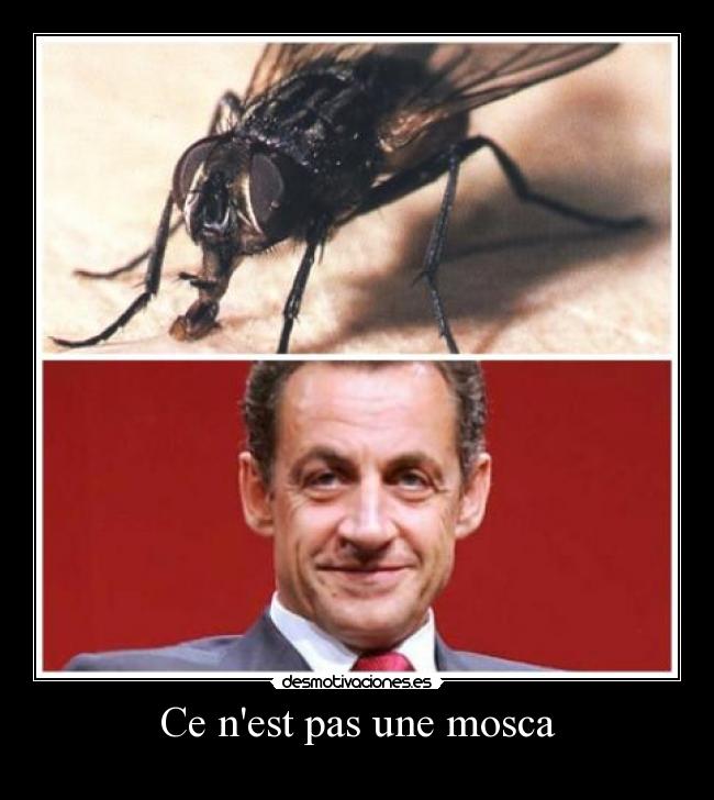 Ce nest pas une mosca -