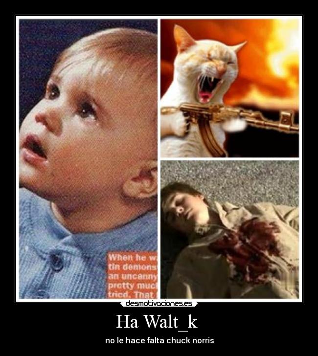 Ha Walt_k - no le hace falta chuck norris