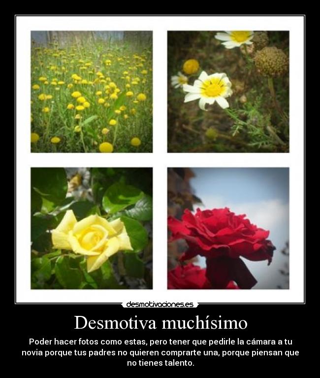 Desmotiva muchísimo - Poder hacer fotos como estas, pero tener que pedirle la cámara a tu
novia porque tus padres no quieren comprarte una, porque piensan que
no tienes talento.