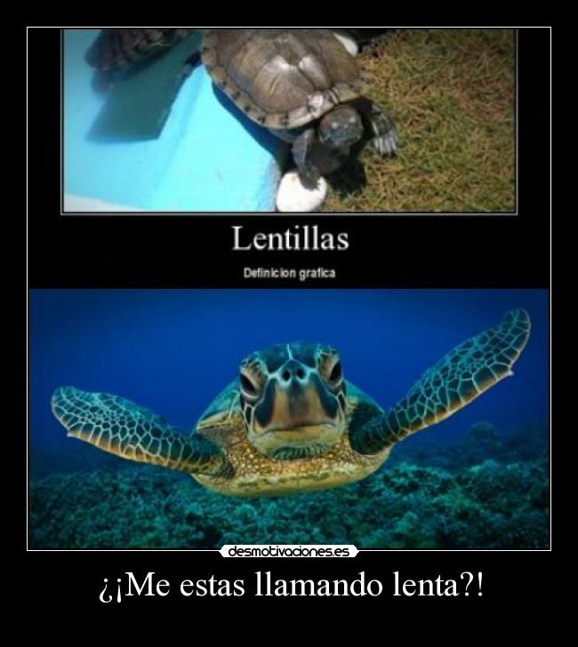 ¿¡Me estas llamando lenta?! -