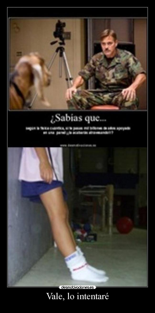Vale, lo intentaré -