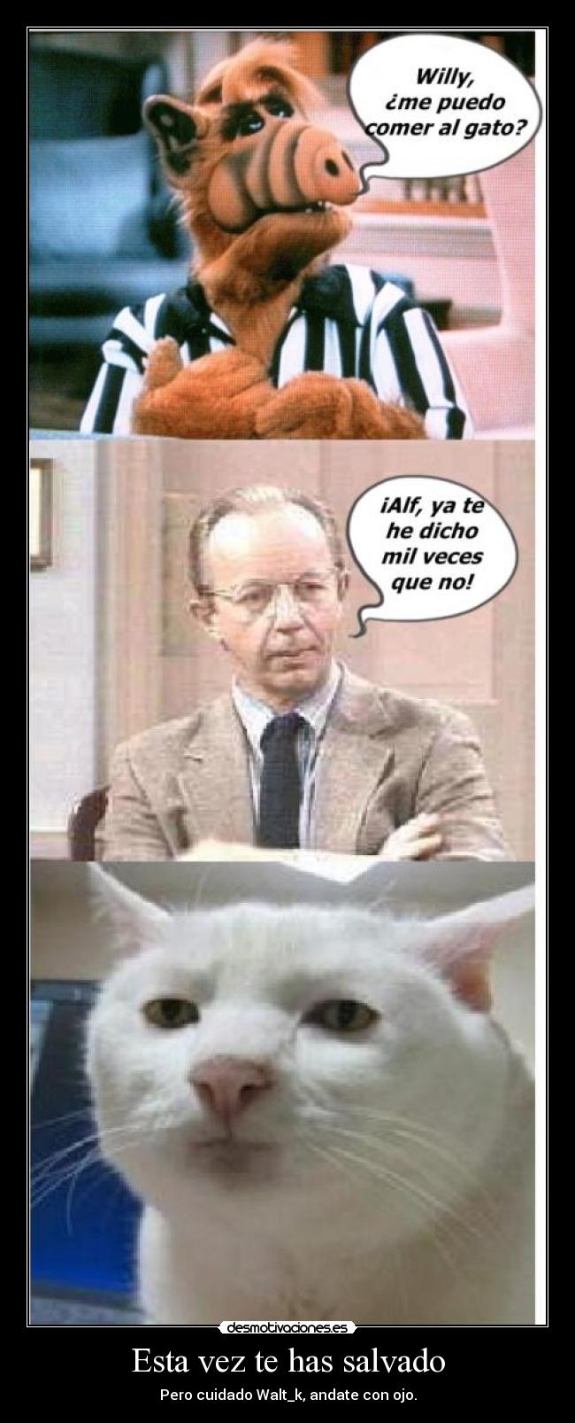 carteles beky desmotivaciones