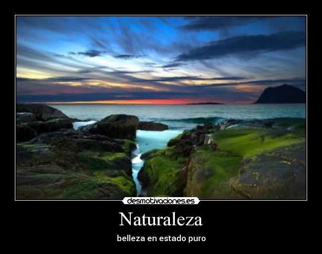Naturaleza - 