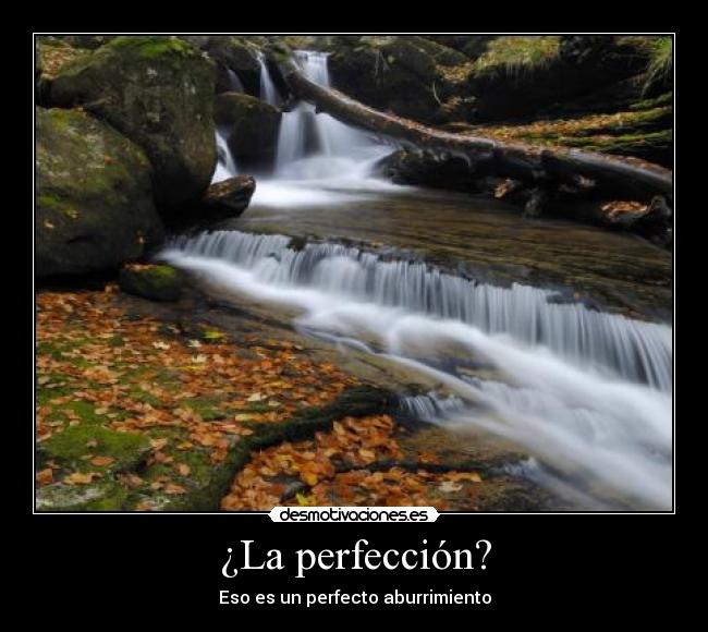 carteles perfeccion perfecto aburrimiento paisaje desmotivaciones