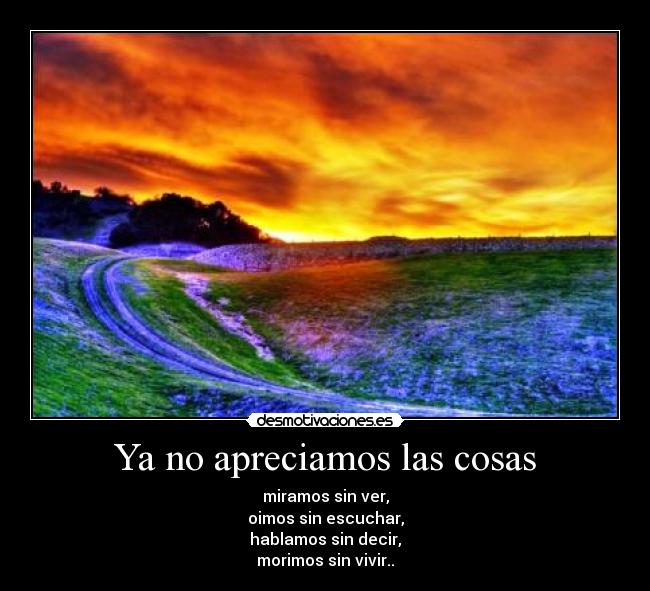 Ya no apreciamos las cosas -