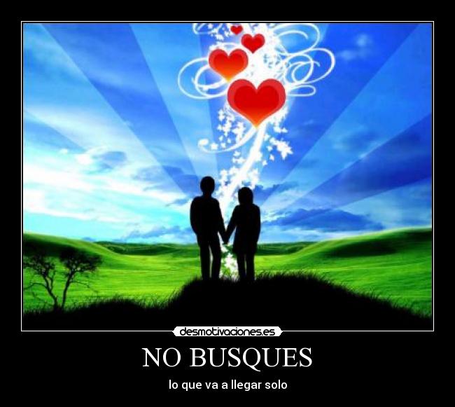 NO BUSQUES -